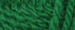 Barisiene amazonie - Bergere de France