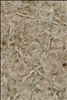 Puddel (10) Beige