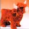 Highlander koe knuffel