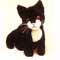 Poes zwart-wit knuffel