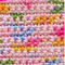 Magicline no 4 1492 licht roze met stippels