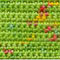 Magicline no 4 1496 groen met stippels