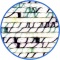 Anchor style Miro (00018) aquarius