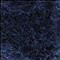 Cassiopeia petrol (69)