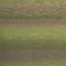 Delight (08) groen-beige mix