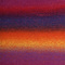 Delight (12) regenboog mix