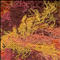 Cassiopeia (188) herfst gemeleerd (op=op)