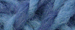 Alaska panama - Bergere de France