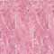 Cassiopeia licht roze (36)