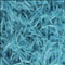 Cassiopeia turquoise blauw (56)