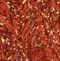 Brazilia Lam� koper (86)