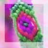 Knopen - macrame